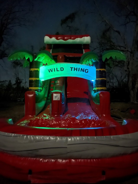 18' wild thing