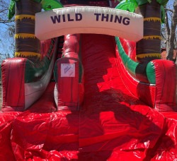wt202 1744928641 18' wild thing